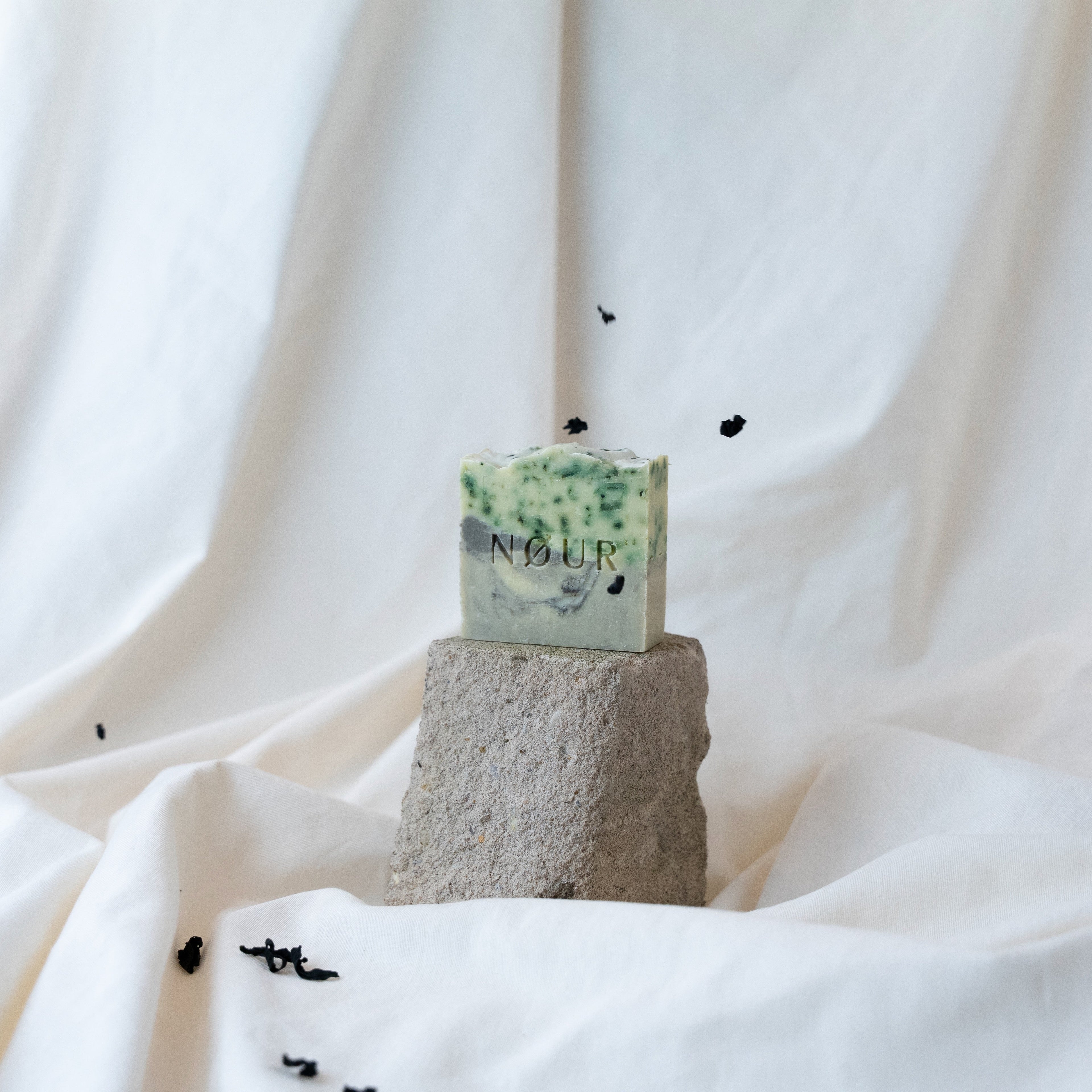 Sea Rock auf grauem Stein mit Algenblatt