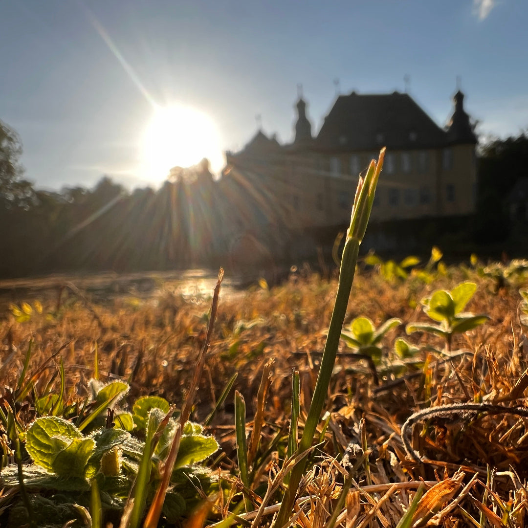 Schloss Dyck im Herbst