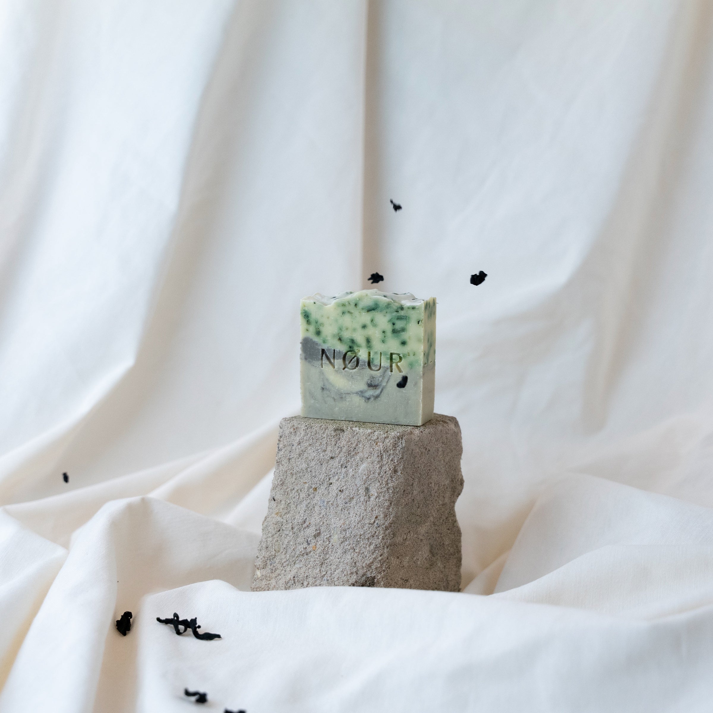 Sea Rock auf grauem Stein mit Algenblatt